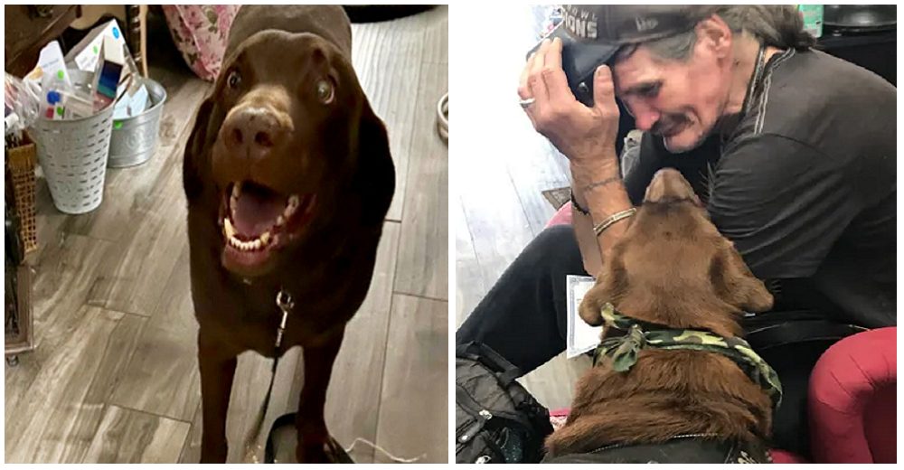 Hombre sin hogar se reúne entre lágrimas con su perro de servicio robado