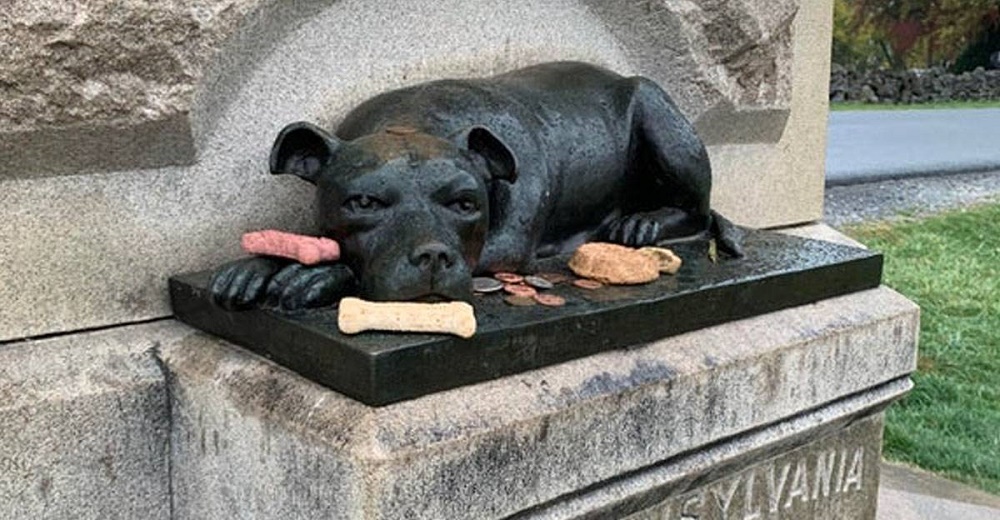 El monumento de una heroica perrita emociona tanto que la gente sigue dejándole huesitos