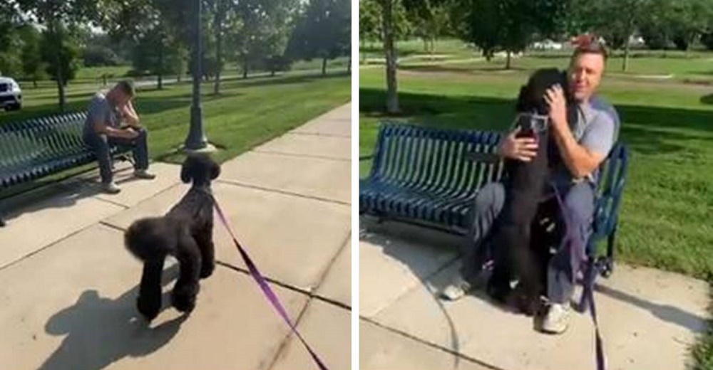 Perrita reconoce a su antiguo entrenador en el parque y corre emocionada a saludarlo