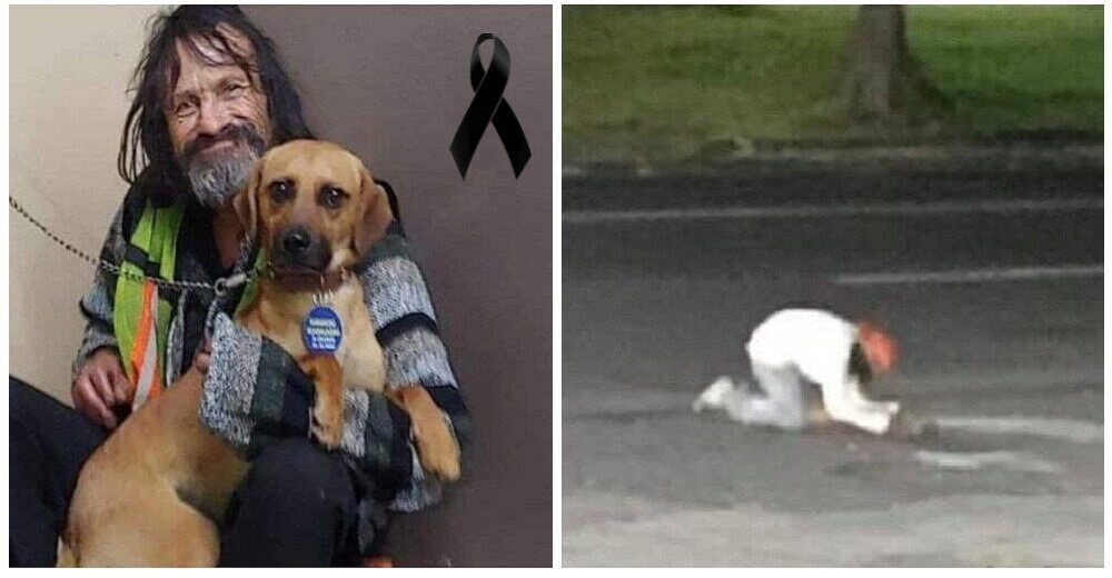 El día que un hombre sin hogar lloró sin consuelo por su perrito arrollado –»Era mi único amigo»