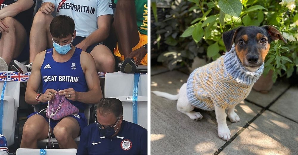 Captan a un medallista olímpico tejiendo suéteres para perritos antes de su competencia final