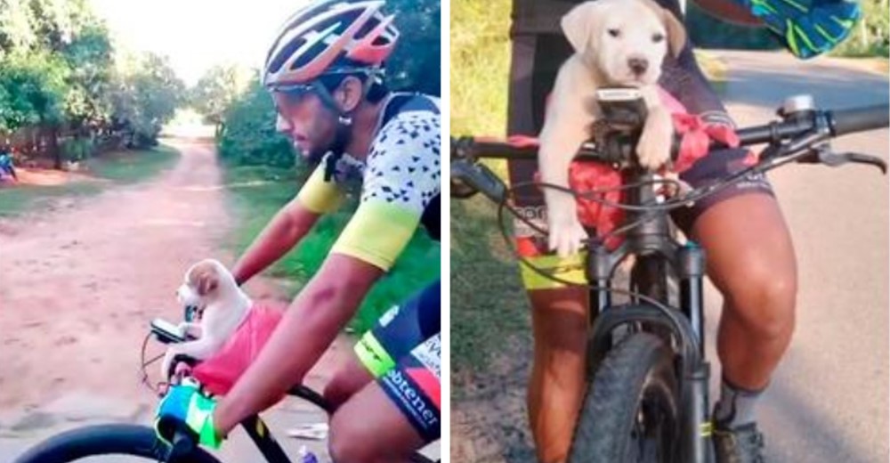 Una pareja de ciclistas ve a un cachorrito a la orilla de la carretera y salva su vida