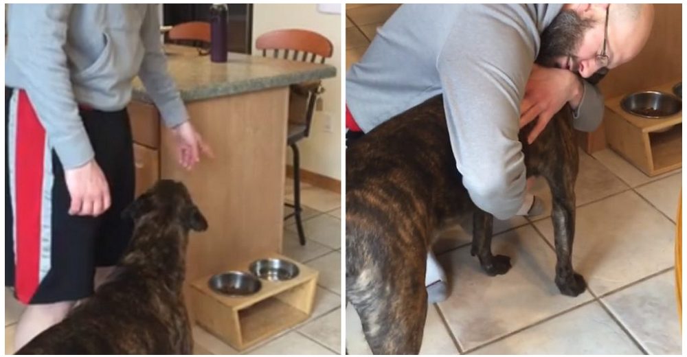 Perrito adoptado se niega a tomar su desayuno sin antes recibir el abrazo que lo hace tan feliz