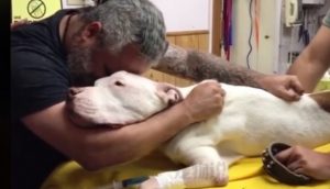 Un «rudo» hombre se rompe al tener que despedir a su perro con el que ha vivido durante 14 años
