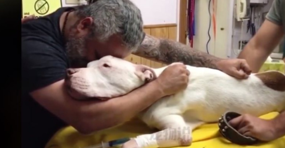 Un «rudo» hombre se rompe al tener que despedir a su perro con el que ha vivido durante 14 años