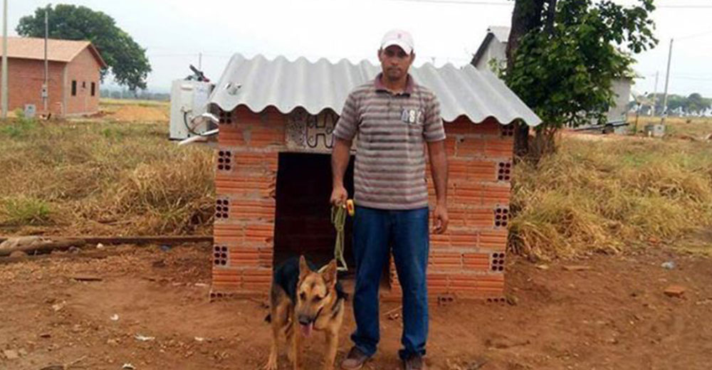 Hombre instala un aire acondicionado exclusivo para su perrita para librarla del intenso calor