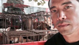 El activista Marc Ching ya ha salvado a miles de perros de ser comidos en China