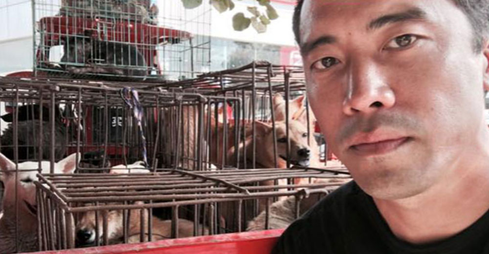 El activista Marc Ching ya ha salvado a miles de perros de ser comidos en China