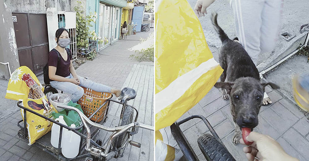 Humilde mujer continúa alimentando animales de las calles a pesar de no tener casi dinero
