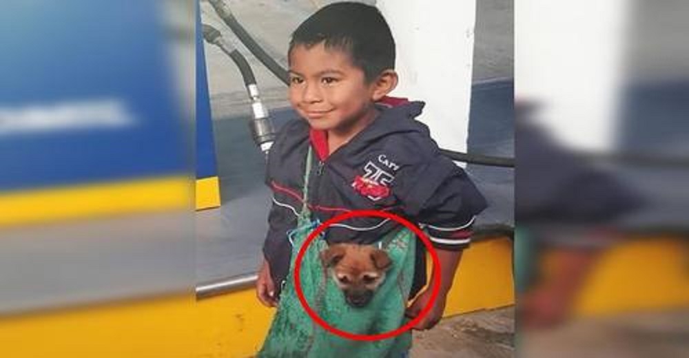 Captan a un humilde niño llevando a su perrito del modo más adorable a pesar de las adversidades Captan a un humilde niño llevando a su perrito del modo más adorable a pesar de las adversidades