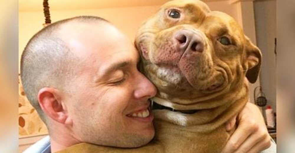 Pitbull agradece con todo tipo de sonrisas cada día a su familia por haberlo adoptado