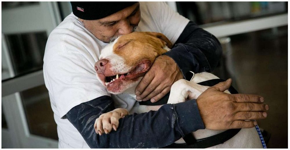 Perrito abraza feliz a su dueño tras cumplir su promesa de volver al refugio para salvarlo