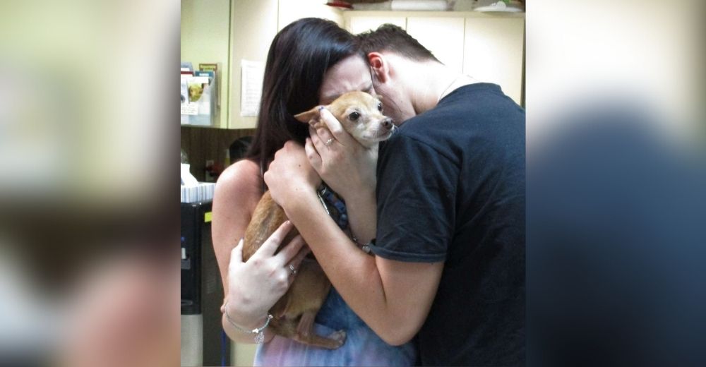 Perrito reunido con su familia tras pasar 6 años perdido no puede dejar de mover la cola Perrito reunido con su familia tras pasar 6 años perdido no puede dejar de mover la cola
