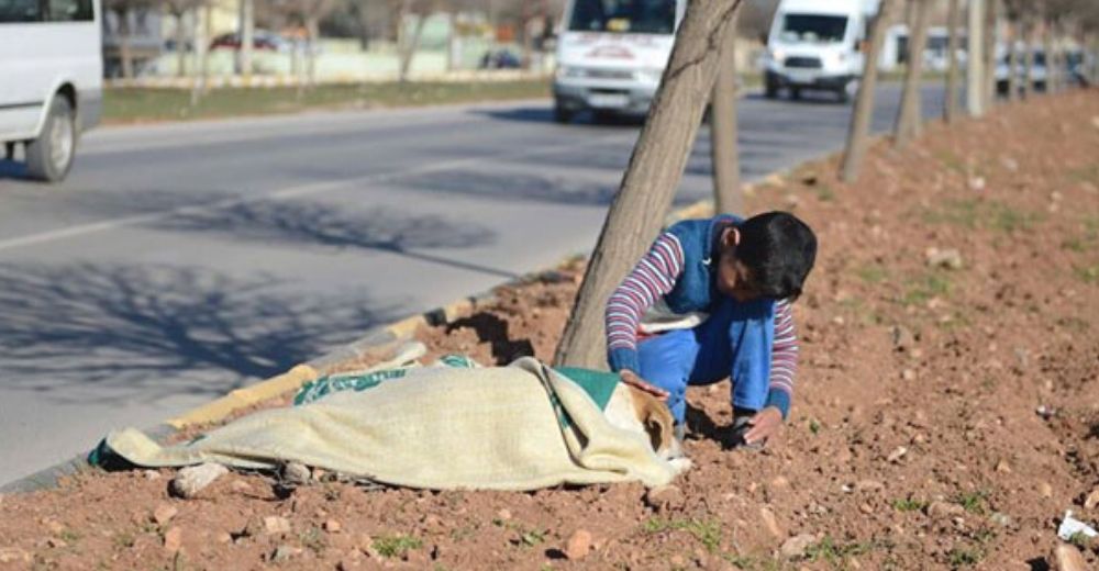 Niño refugiado auxilia al desamparado perrito callejero que fue arrojado por un automóvil