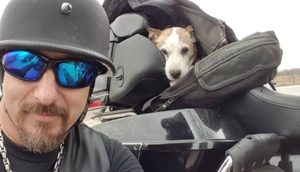Motociclista ve a un perrito siendo maltratado al borde de la carretera y se detiene a salvarlo