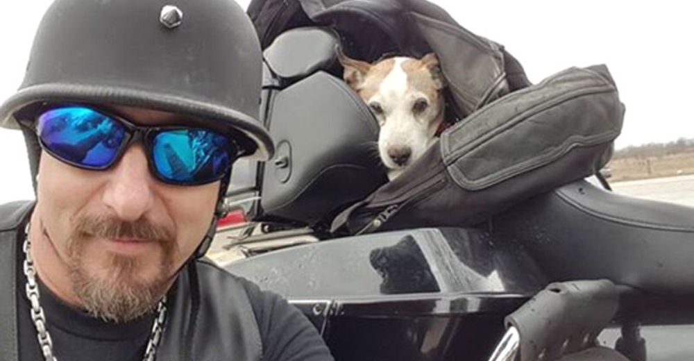 Motociclista ve a un perrito siendo maltratado al borde de la carretera y se detiene a salvarlo