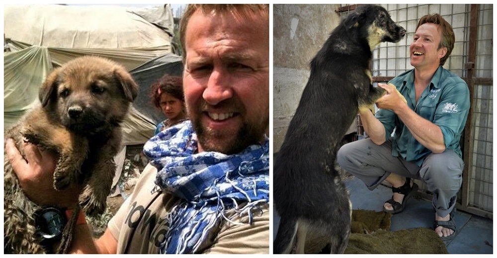 Ex marine trata de no rendirse hasta salvar a 200 perros y gatos de un triste destino en Kabul