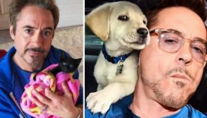 El actor Robert Downey, Ironman, confiesa que ahora no puede vivir sin los animales que rescató
