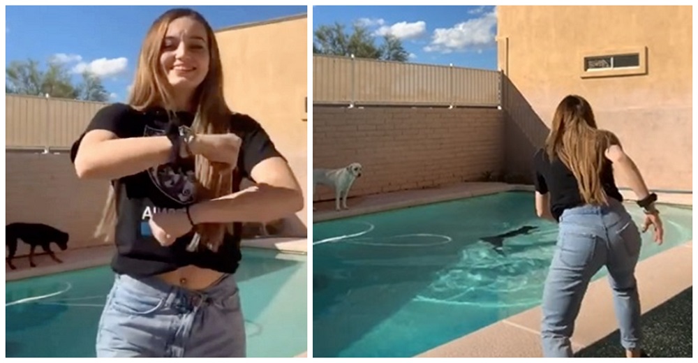 Se graba haciendo un baile para TikTok mientras su perro se hundía en la piscina como una roca