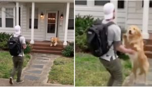 Su perro se abalanza sobre él cuando finalmente regresó a casa