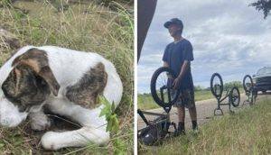 Adolescentes interrumpen su paseo para acercarse al perrito que encontraron en la carretera