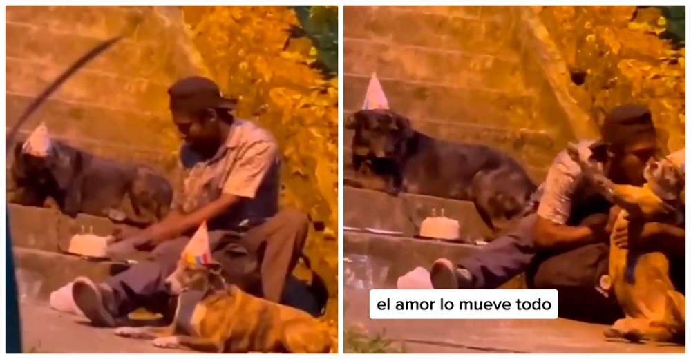 Graban a un hombre sin hogar celebrándoles el cumpleaños a sus dos perritos