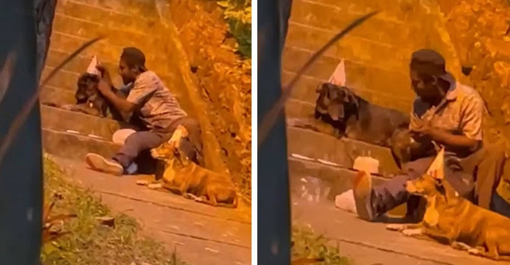 Choco, el indigente que fue captado celebrando de la forma más dulce el cumpleaños de su perro Choco, el indigente que fue captado celebrando de la forma más dulce el cumpleaños de su perro