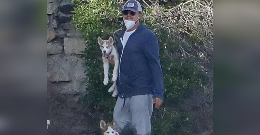 Leonardo DiCaprio salta a un lago congelado al ver un husky que se ahogaba y acaba salvando a 2