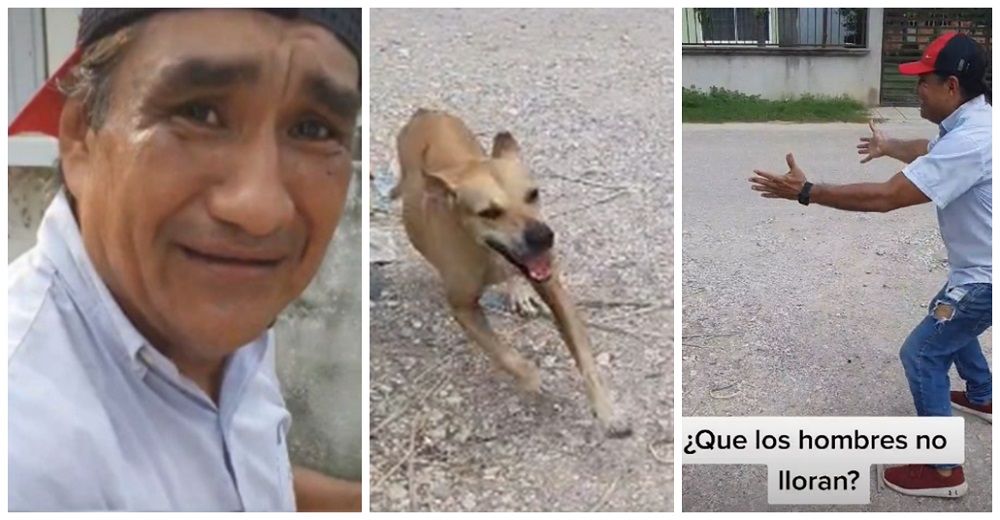 Hombre llora al reconocer a su perrita tras años de recorrer la ciudad desesperado