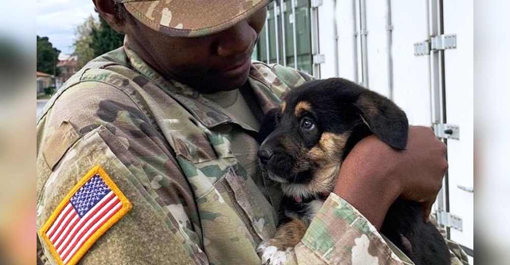 El emotivo reencuentro entre la sargento y la triste perrita que sólo halló consuelo a su lado