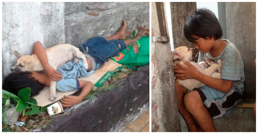 Niño de la calle adopta un perro sin hogar y se acurrucan juntos para no estar solitos Niño de la calle adopta un perro sin hogar y se acurrucan juntos para no estar solitos