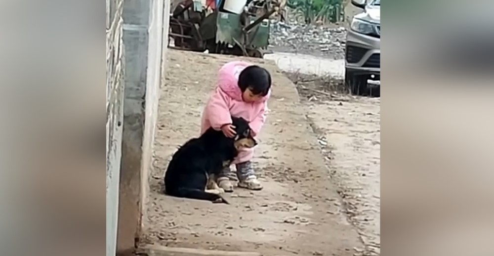 Una niña intenta proteger con sus manitos a su perro asustado por los fuegos artificiales