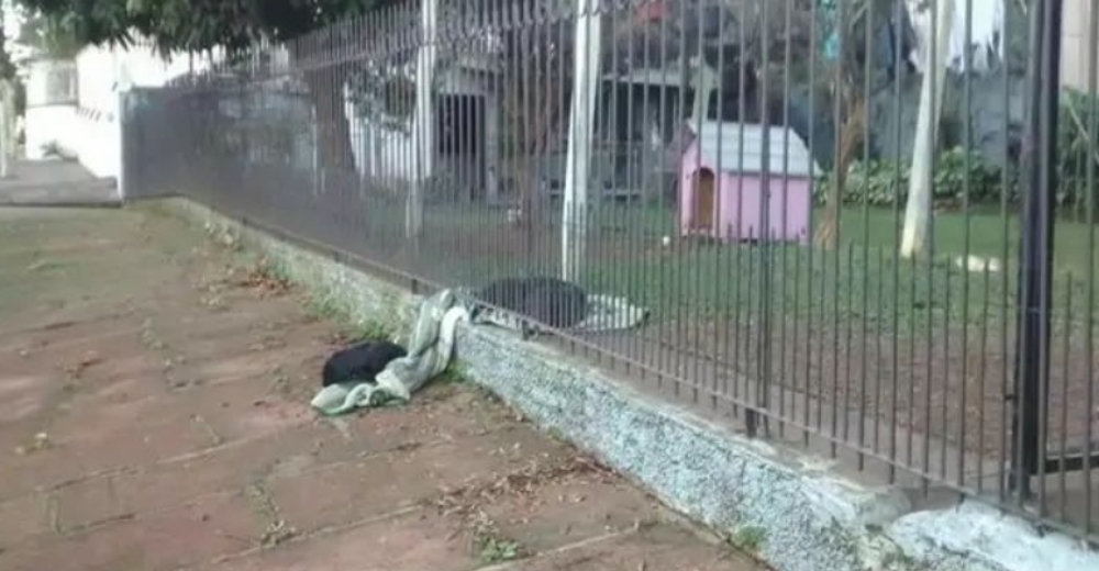 Perrita comparte su manta a través de una cerca con un perro que sobrevive en la calle