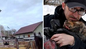 Rescatista se niega a dejar a sus 450 animales en Ucrania – «Prefiero perder la vida con ellos»