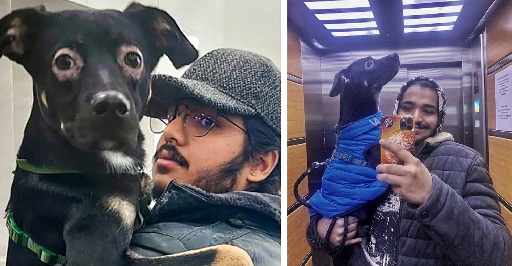 Estudiante de Ucrania se niega abandonar el país sin su amada mascota Estudiante de Ucrania se niega abandonar el país sin su amada mascota