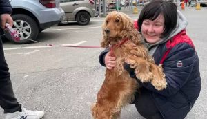 Familia ucraniana y su mascota encuentran un hogar de acogida gracias a la bondad de un joven
