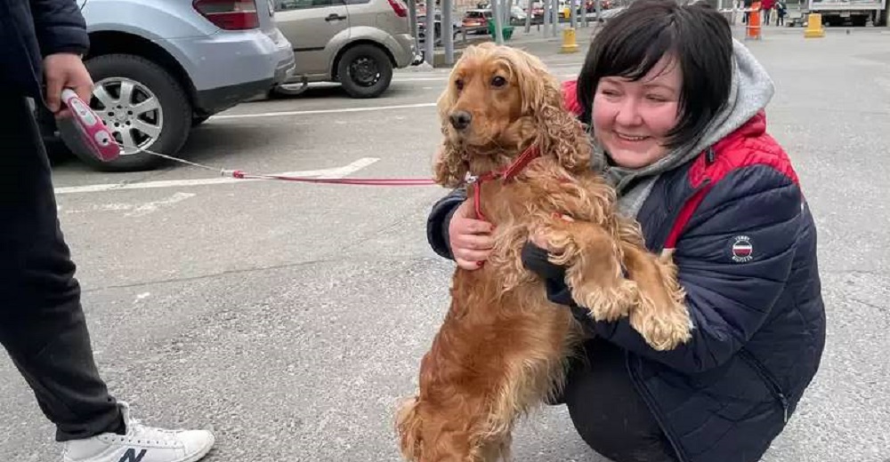 Familia ucraniana y su mascota encuentran un hogar de acogida gracias a la bondad de un joven