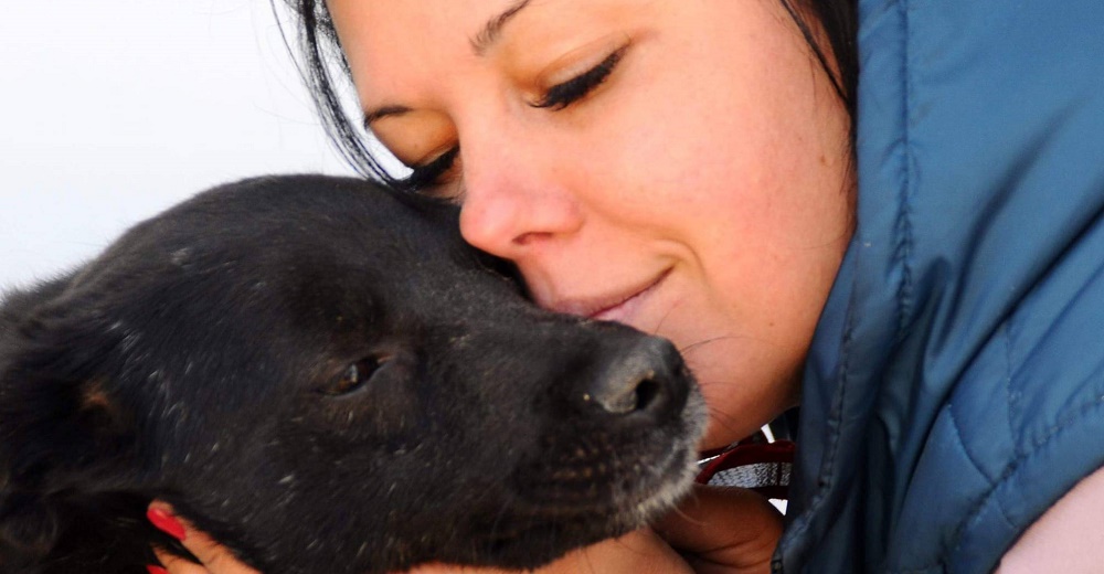 Madre pone a salvo a sus hijos y regresa a Ucrania para cuidar a los perritos necesitados