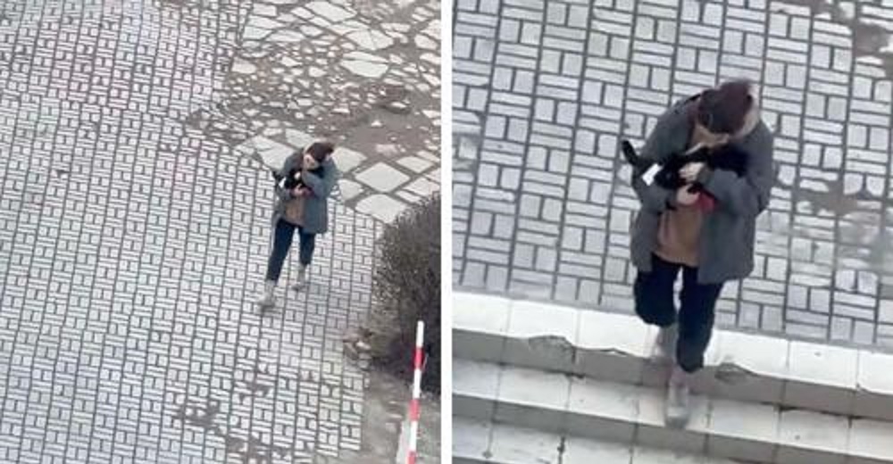 Graban a una mujer consolando a un gato aterrado cuando suenan las sirenas de ataque en Ucrania