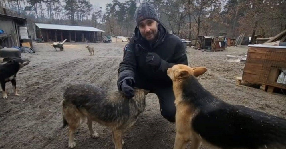 Periodista conmueve al mundo mostrando la realidad de las perritos abandonados en Ucrania