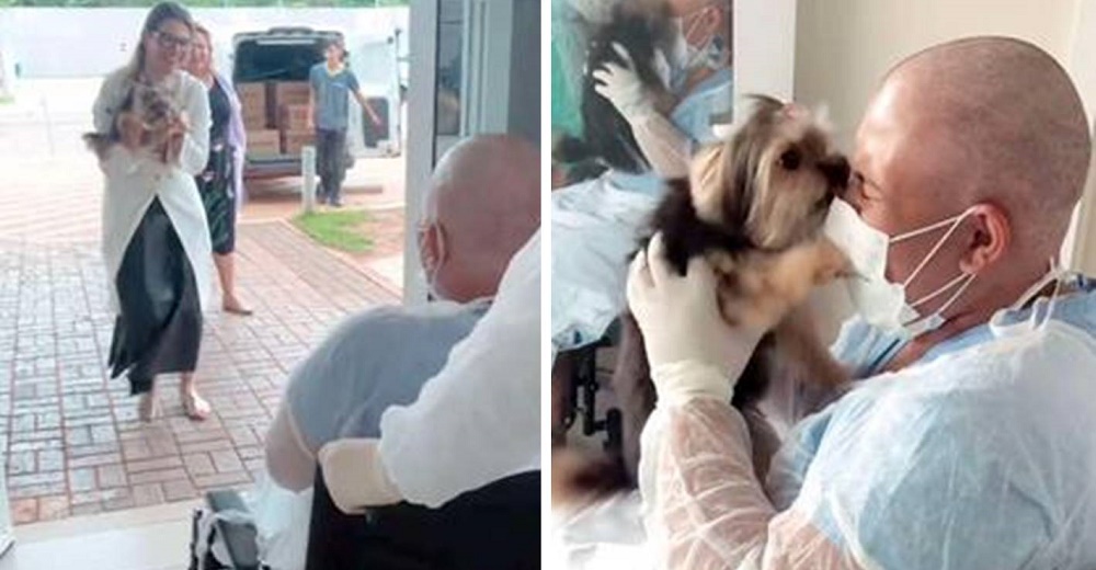 Perrita se emociona al visitar a su mejor amiga en el hospital