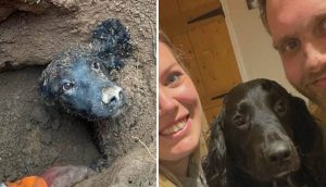 El perrito que pasó más de 60 horas atrapado bajo tierra se reúne con su familia