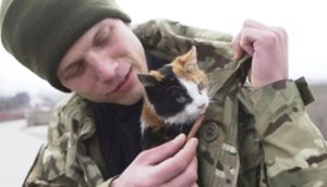 Los gatos sobrevivientes les ofrecen consuelo a los soldados en Ucrania