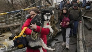 «¡Son como niños pequeños!»: Entre lágrimas, ucranianos se niegan a dejar atrás a sus mascotas