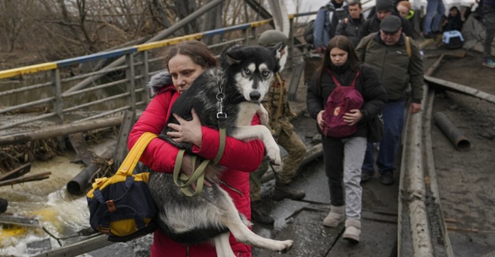«¡Son como niños pequeños!»: Entre lágrimas, ucranianos se niegan a dejar atrás a sus mascotas