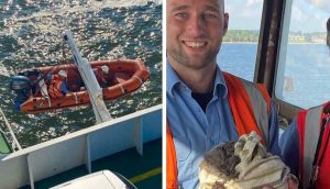 Capitán detiene el ferry para salvar a un gatito que cayó al mar