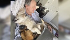 Encuentra a su padre durmiendo la siesta con varios perros que invadieron su casa
