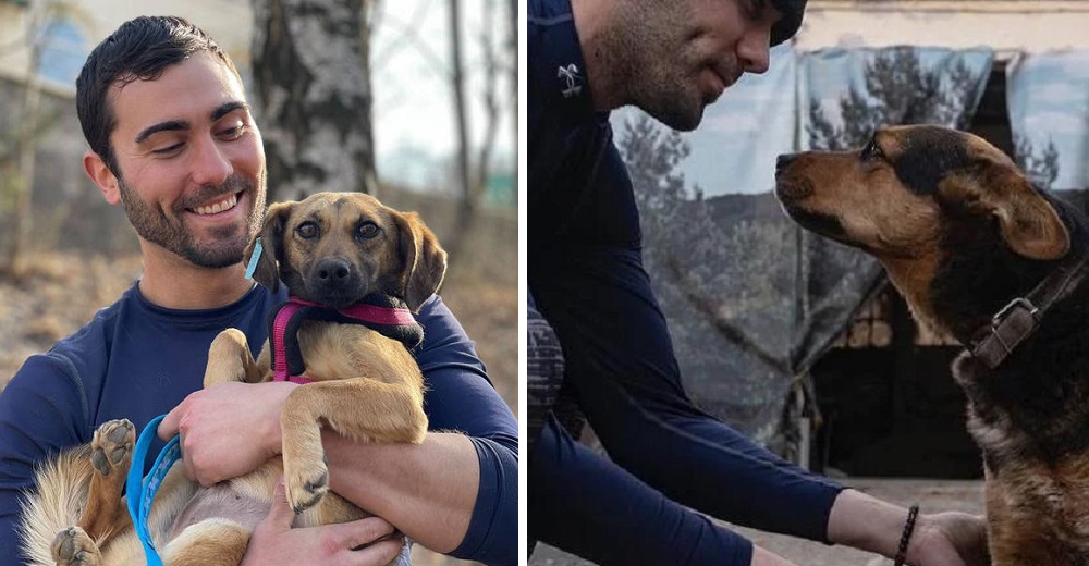 Un joven de 28 años deja atrás su país seguro y viaja a Ucrania para cuidar animales indefensos