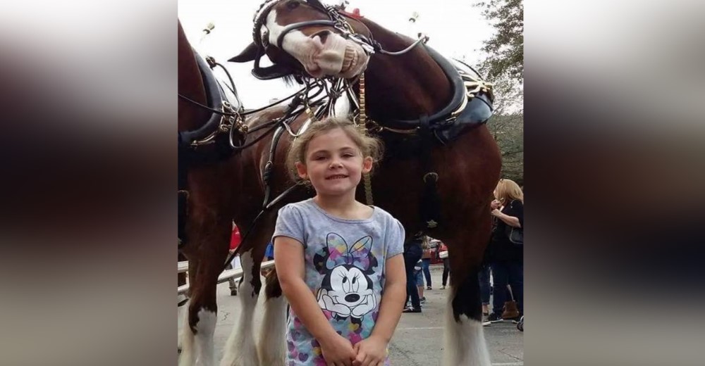 Captan una imagen de su pequeña hija con un caballo y se convierten en una celebridad