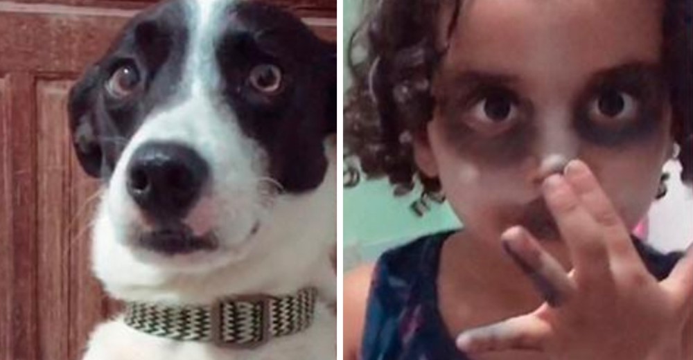 Niña de 3 años se hace viral tras maquillar su rostro para parecerse a su perro